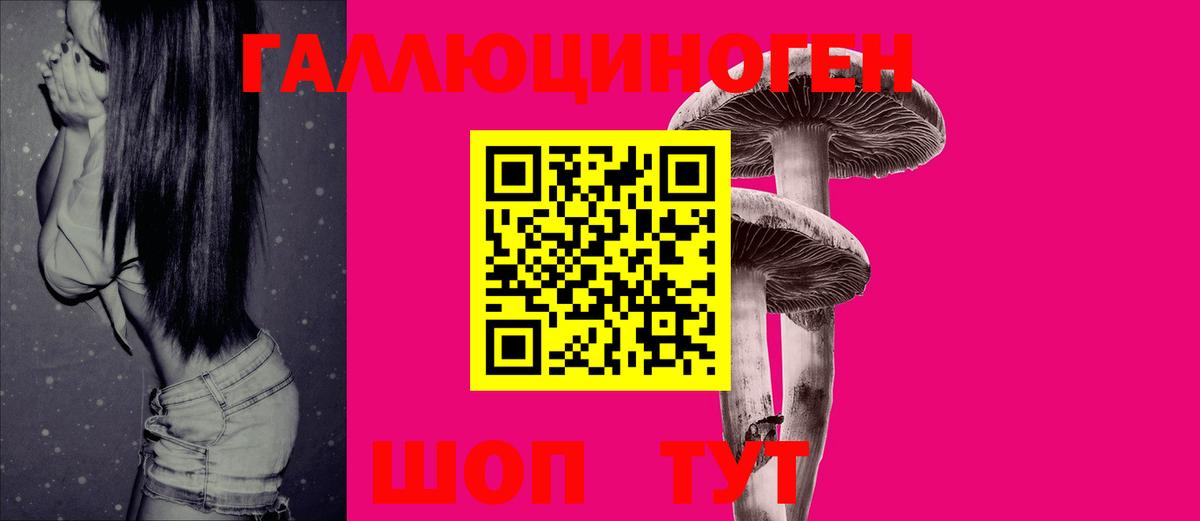 Псилоцибиновые грибы GOLDEN TEACHER Можга